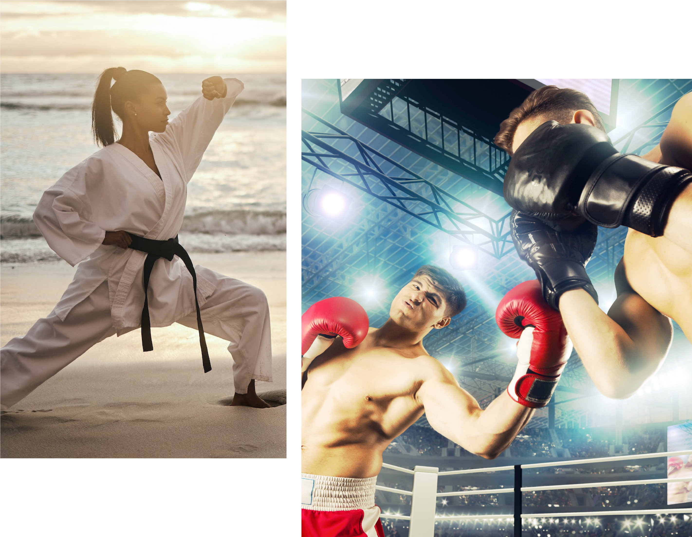 Martial Art